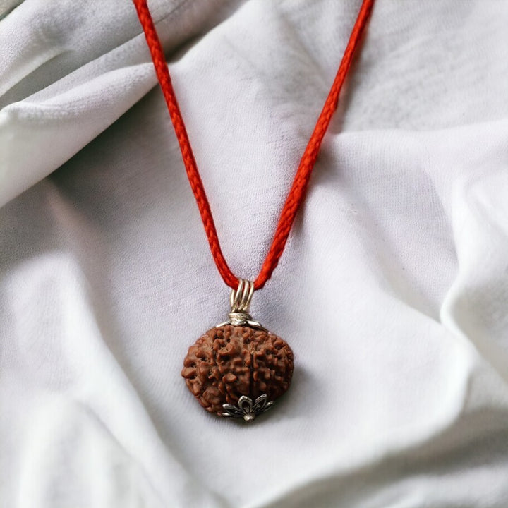 Natural 10 Mukhi Nepali Rudraksha - Das Mukhi - Soultheory certified