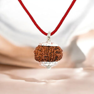 Natural 14 Mukhi Rudraksha - Chaudah Mukhi — Soultheory certified