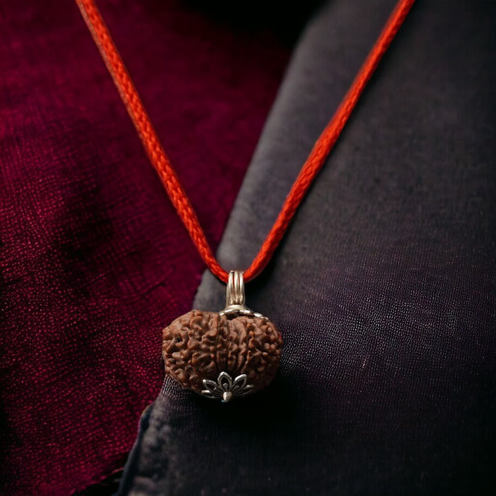 Natural 11 Mukhi Nepali Rudraksha - Gyaarah Mukhi - Soultheory certified
