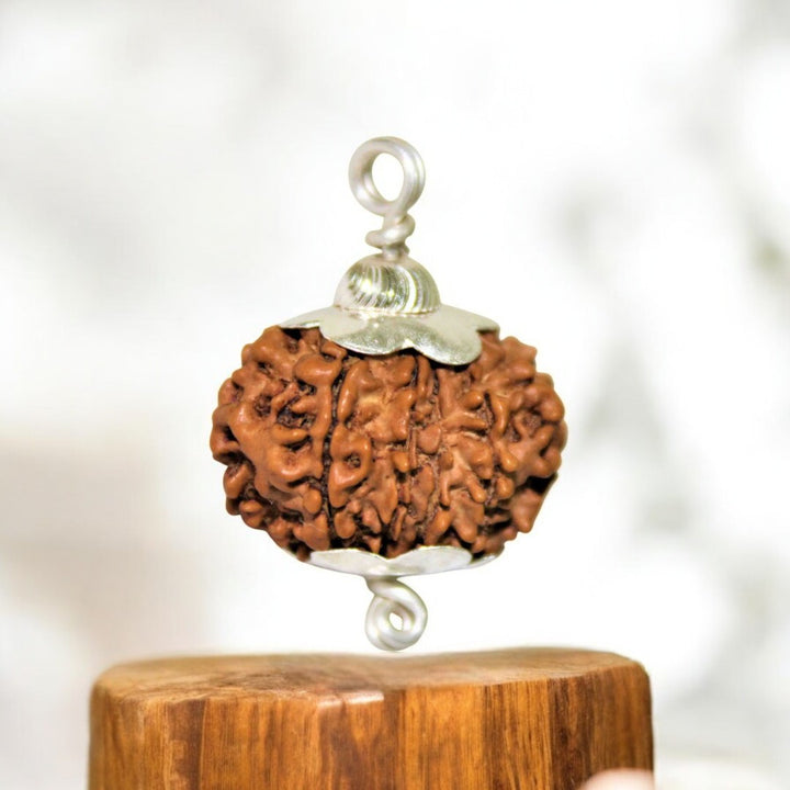 Natural 12 Mukhi Nepali Rudraksha - Baarah Mukhi - Soultheory certified