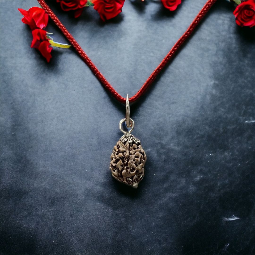 Natural 3 Mukhi Nepali Rudraksha - Teen Mukhi