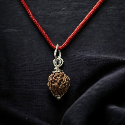 Natural 4 Mukhi Nepali Rudraksha - Chaar Mukhi - Soultheory certified