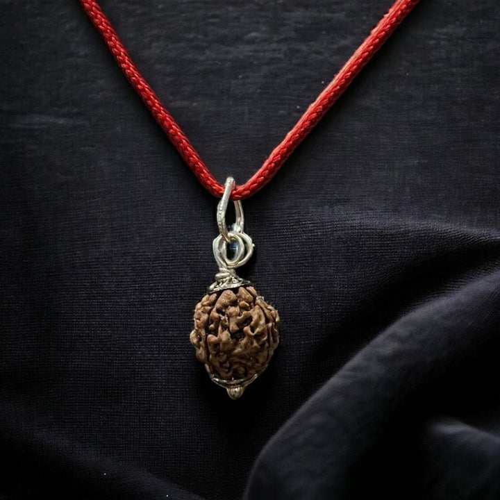 Natural 4 Mukhi Nepali Rudraksha - Chaar Mukhi - Soultheory certified