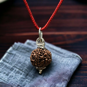 Natural 6 Mukhi Nepali Rudraksha - Chhey Mukhi — Soultheory certified