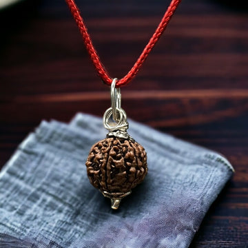 Natural 6 Mukhi Nepali Rudraksha - Chhey Mukhi