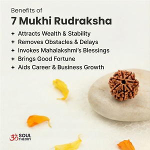 7 mukhi rudraksha benefits infographic for prosperity, good fortune and Mahalakshmi blessings