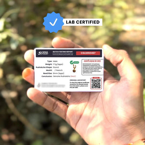 Lab certified batch testing report card confirming genuine original Nepali rudraksha