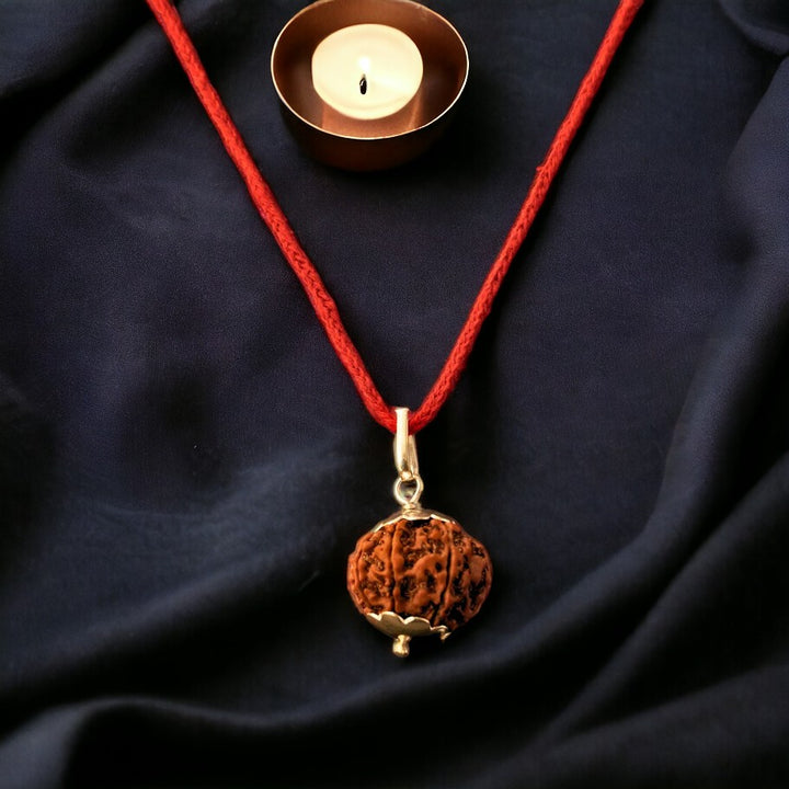 Natural 9 Mukhi Nepali Rudraksha - Nau Mukhi - Soultheory certified