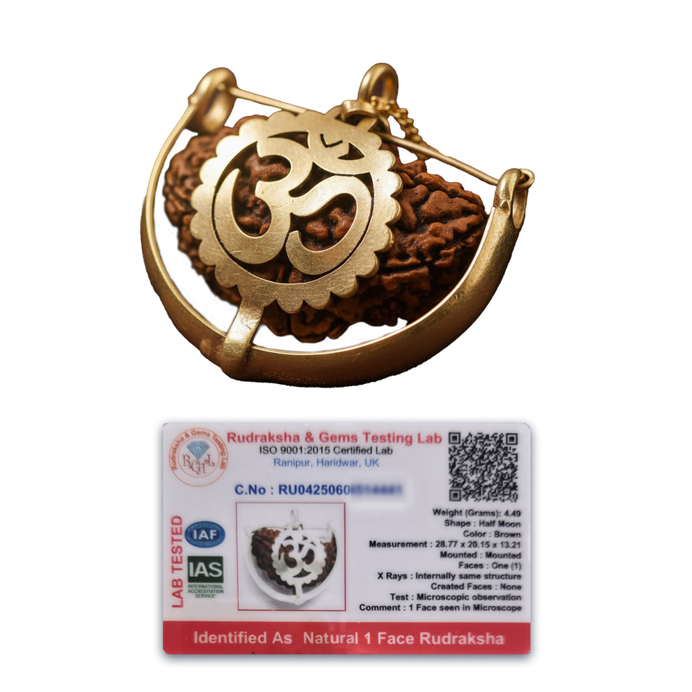 Natural 1 Mukhi Nepali Rudraksha - Ek Mukhi