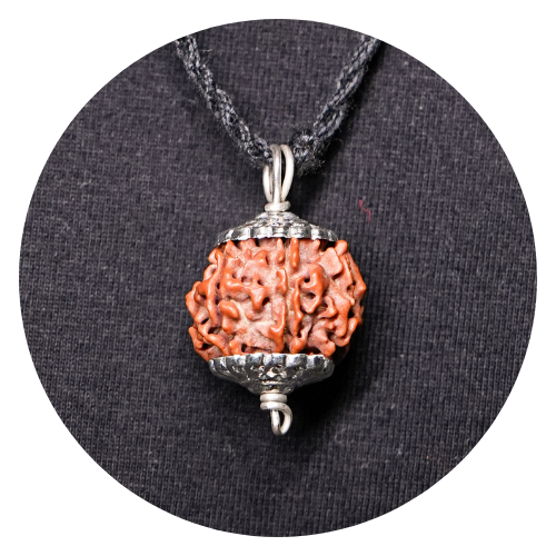 Nepali rudraksha