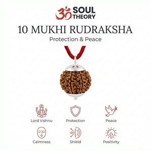 Natural 10 Mukhi Nepali Rudraksha - Das Mukhi