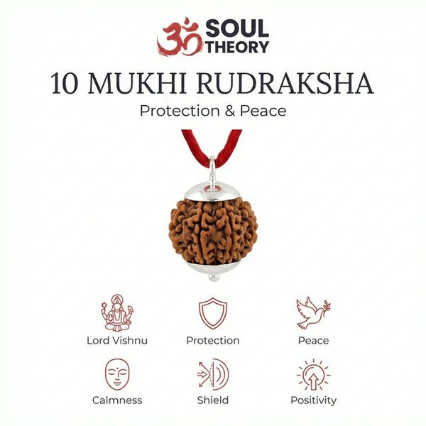 Natural 10 Mukhi Nepali Rudraksha - Das Mukhi