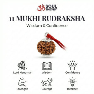 Natural 11 Mukhi Nepali Rudraksha - Gyaarah Mukhi