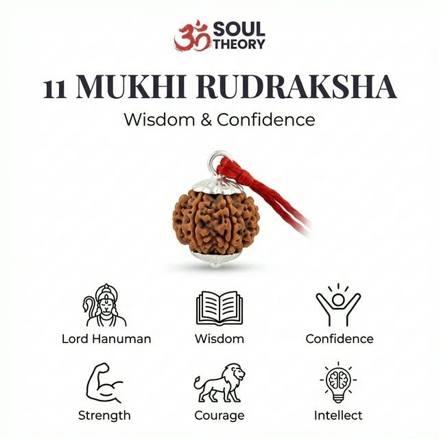 Natural 11 Mukhi Nepali Rudraksha - Gyaarah Mukhi