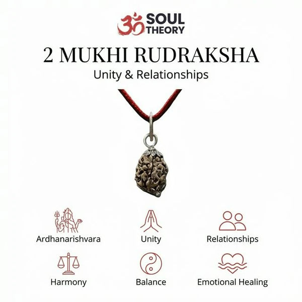 Natural 2 Mukhi Nepali Rudraksha - Dho Mukhi