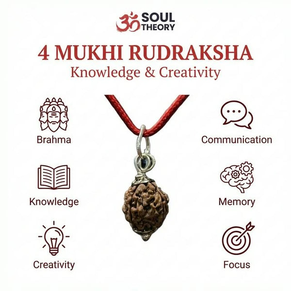 Natural 4 Mukhi Nepali Rudraksha - Chaar Mukhi