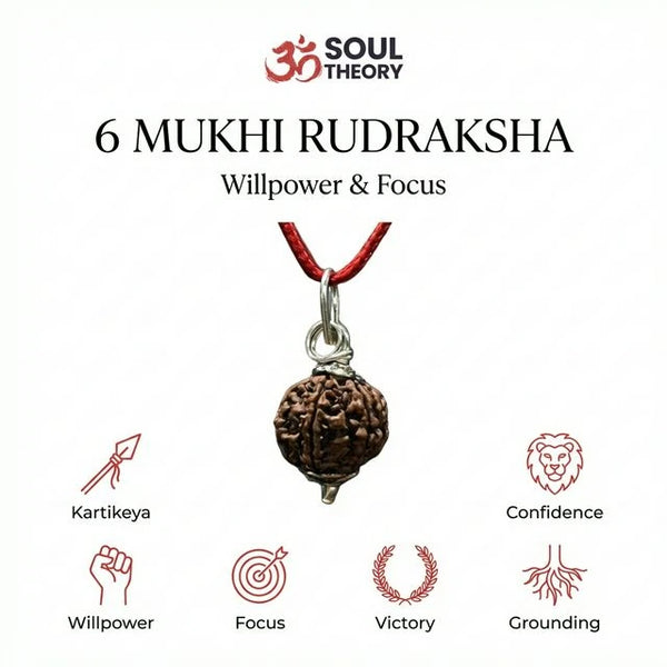 Natural 6 Mukhi Nepali Rudraksha - Chhey Mukhi — worn on wrist