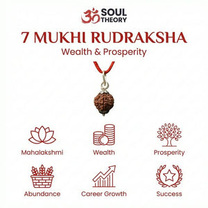 Natural 7 Mukhi Nepali Rudraksha - Saat Mukhi