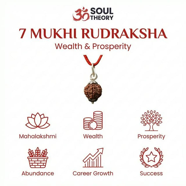 Natural 7 Mukhi Nepali Rudraksha - Saat Mukhi