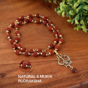 Gold plated Trishool rudraksha necklace showing natural 5 mukhi panchmukhi bead detail