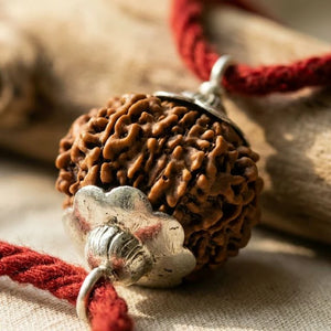 Natural 12 Mukhi Nepali Rudraksha - Baarah Mukhi