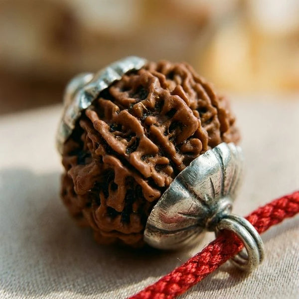Natural 14 Mukhi Rudraksha - Chaudah Mukhi — packaging