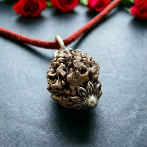 Natural 2 Mukhi Nepali Rudraksha - Dho Mukhi