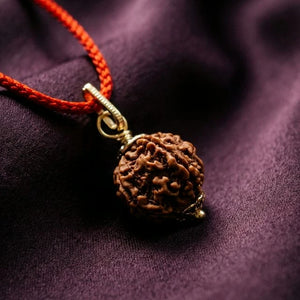 Natural 5 Mukhi Nepali Rudraksha - Paanch Mukhi