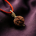 Natural 5 Mukhi Nepali Rudraksha - Paanch Mukhi