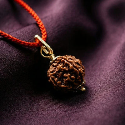 Natural 5 Mukhi Nepali Rudraksha - Paanch Mukhi - Soultheory certified