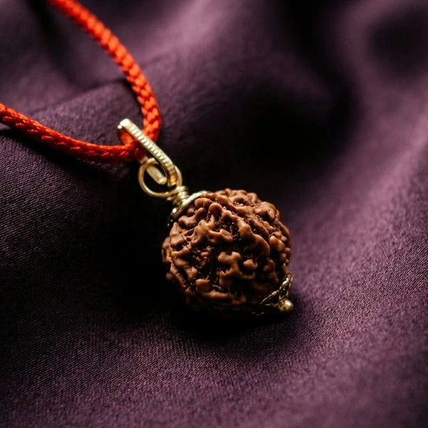 Natural 5 Mukhi Nepali Rudraksha - Paanch Mukhi
