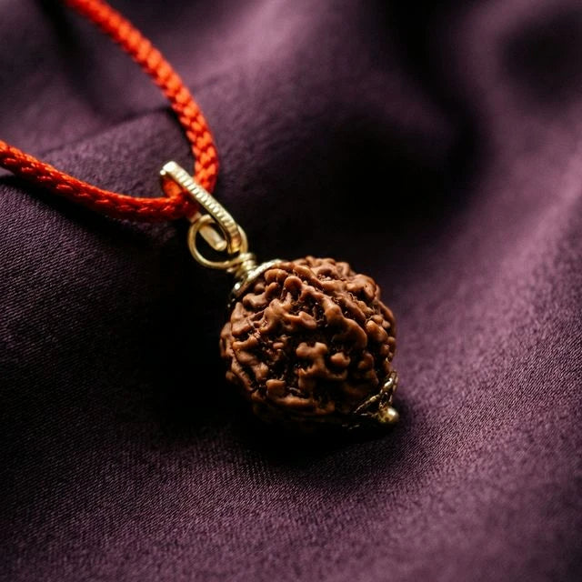 Natural 5 Mukhi Nepali Rudraksha - Paanch Mukhi - Soultheory certified