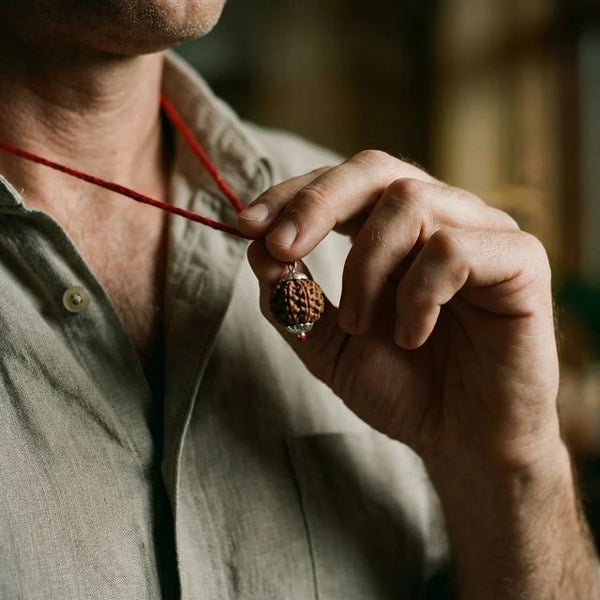 Natural 3 Mukhi Nepali Rudraksha - Teen Mukhi