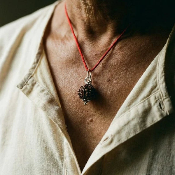 Natural 6 Mukhi Nepali Rudraksha - Chhey Mukhi — detail view