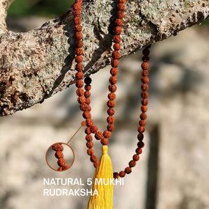 Close-up of natural 5 mukhi rudraksha beads on 108 japa mala showing textured panchmukhi faces