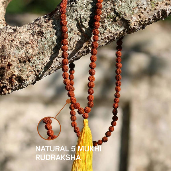 Close-up of natural 5 mukhi rudraksha beads on 108 japa mala showing textured panchmukhi faces